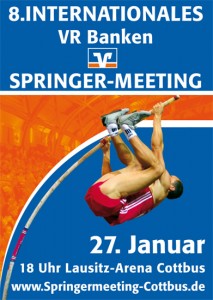 springermeeting_logo2010_big